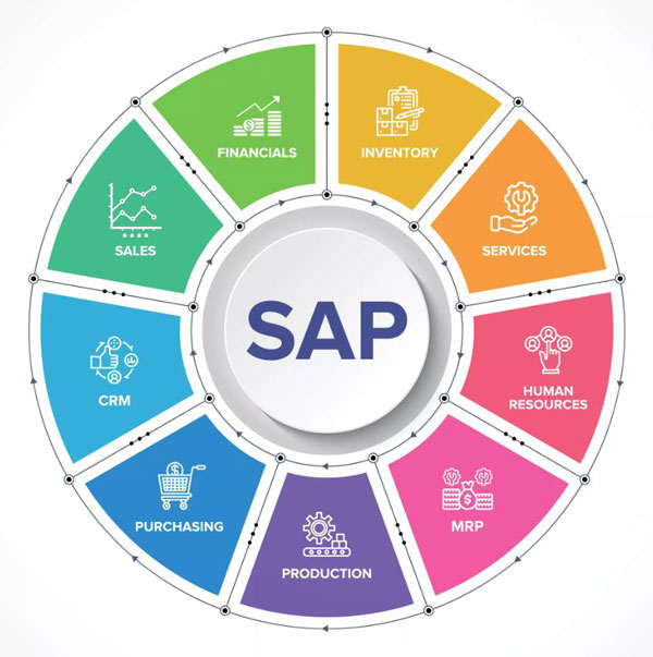 SAP pie chart